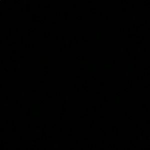 Meet your Posher, Shonteria